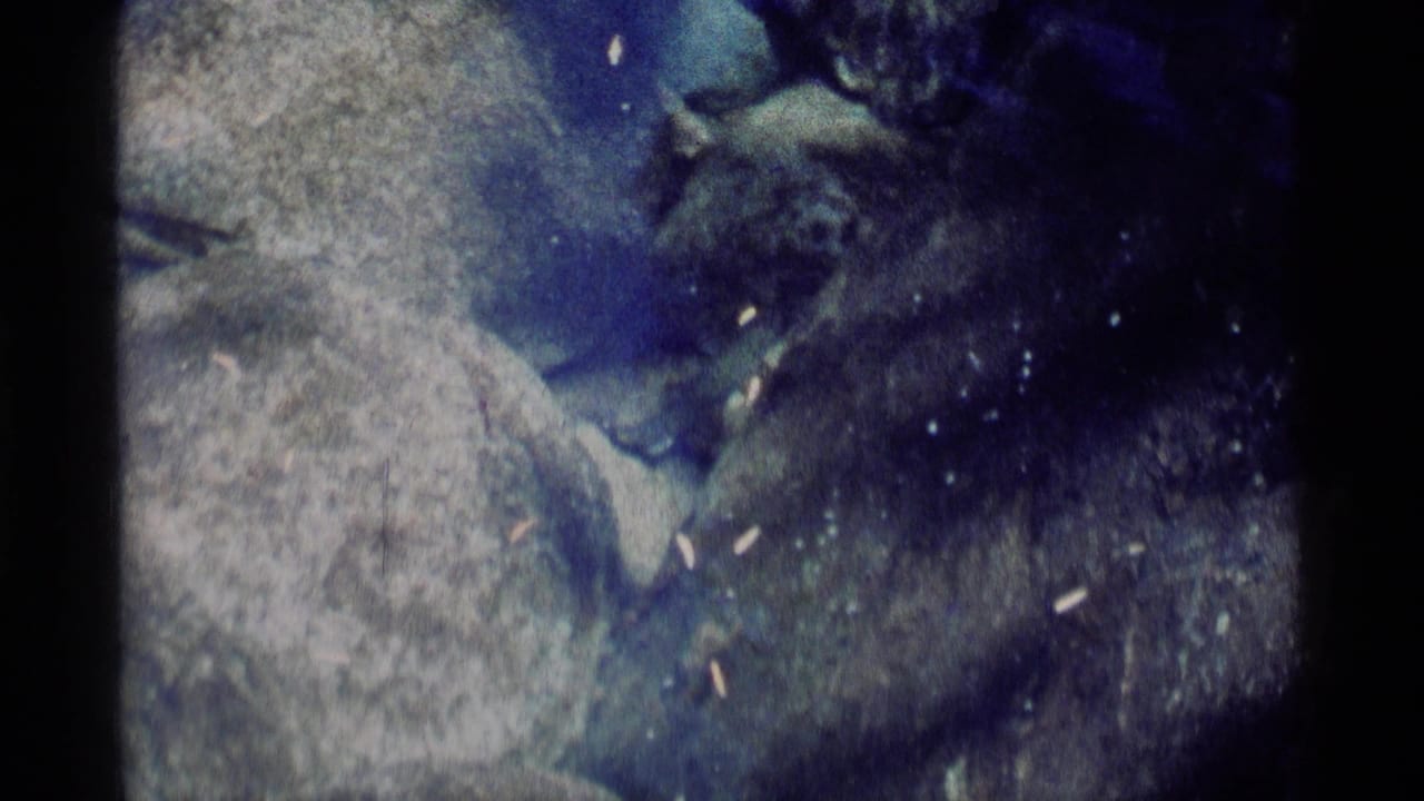 Dark creature shape beside pale stones with suspended particles in blue water.