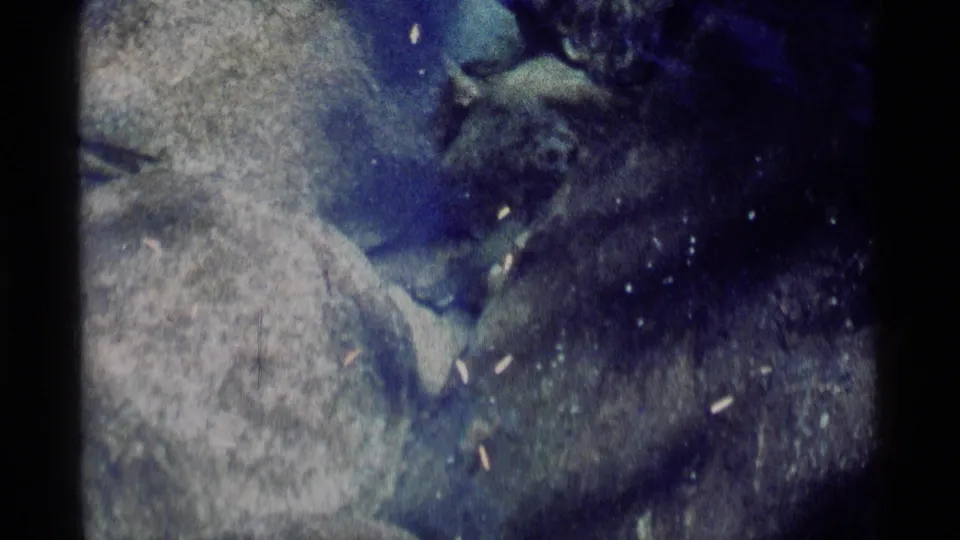 Underwater 8mm frame from Minaret Wilderness showing a dark animal-like form moving beside pale river stones.