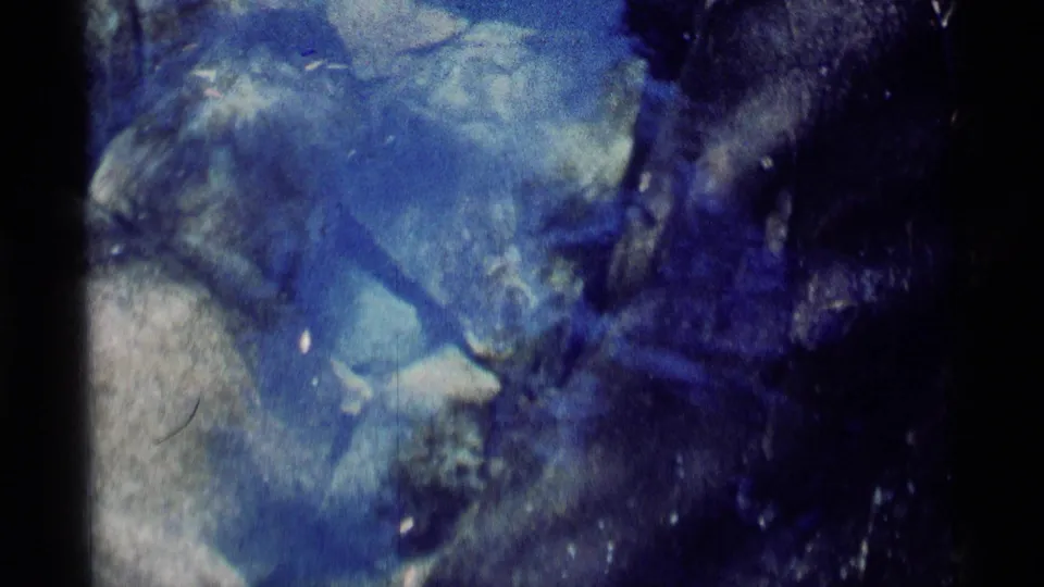 Final Minaret Wilderness underwater frame showing pale stones, suspended debris and a dark creature partly at the right edge.