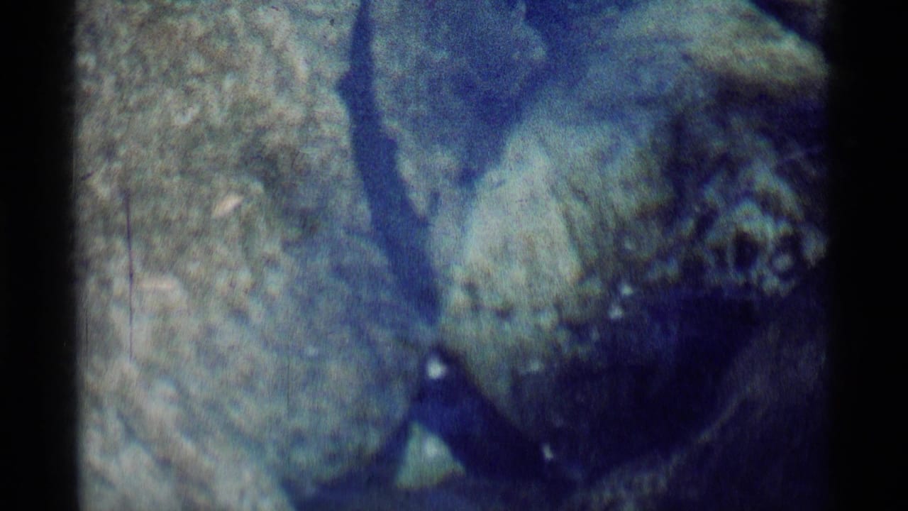 Close 1975 8mm view of fish swimming over rocks in clear water in Minaret Wilderness, California.