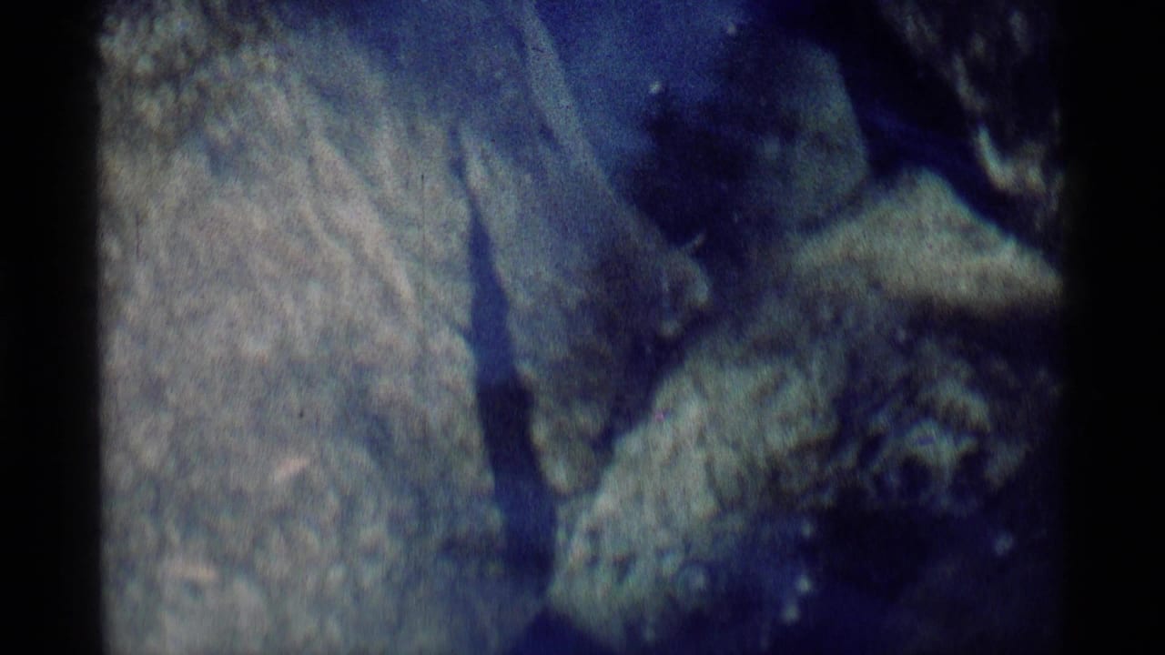 Close 8mm frame of fish gliding above pale riverbed rocks in the Minaret Wilderness footage.