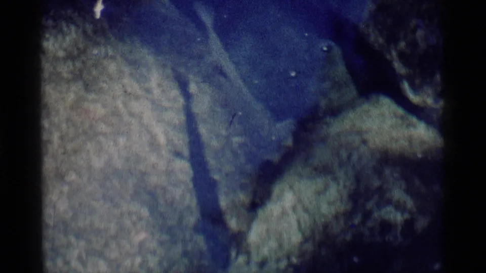 Close 8mm view of fish and submerged rocks in clear Minaret Wilderness water, with visible film edges.