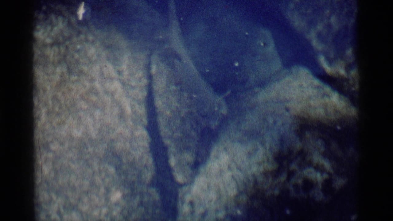 1975 8mm frame from Minaret Wilderness showing a fish near rocky underwater terrain in a shallow stream.