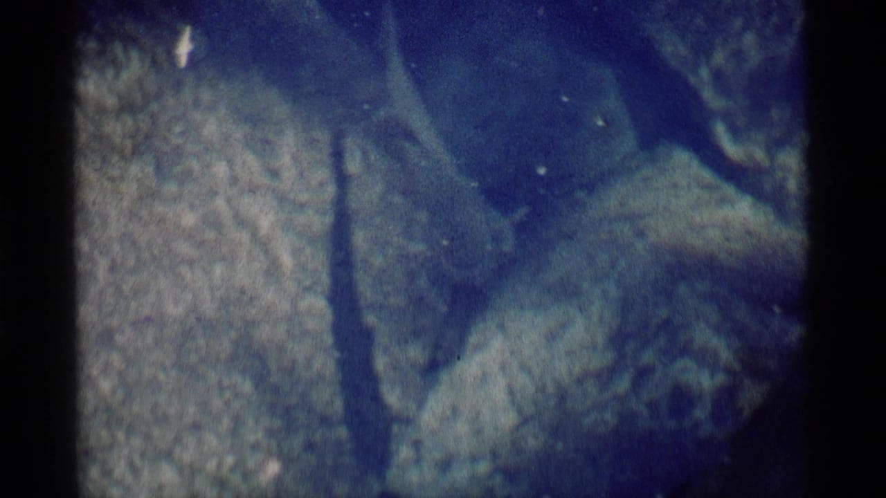 Blue-tinted 8mm frame showing a fish shape passing over rocks in Minaret Wilderness stream water.