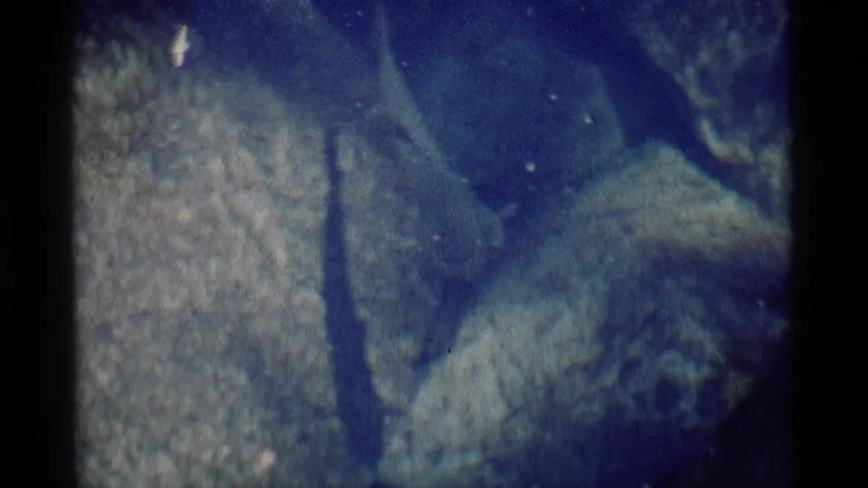 Blue-tinted 8mm frame showing a fish shape passing over rocks in Minaret Wilderness stream water.