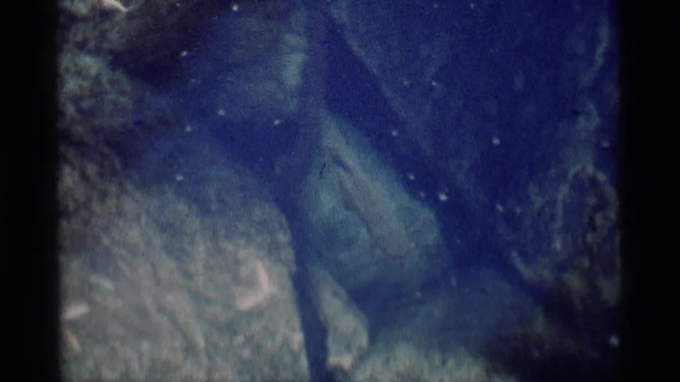Archival 8mm frame of a fish near the camera among rocks in a shallow California wilderness stream.