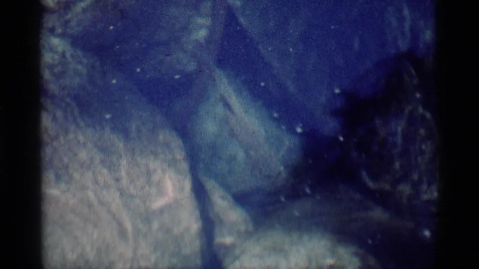 1975 Minaret Wilderness 8mm frame showing a fish swimming beside rocks in blue-tinted shallow water.