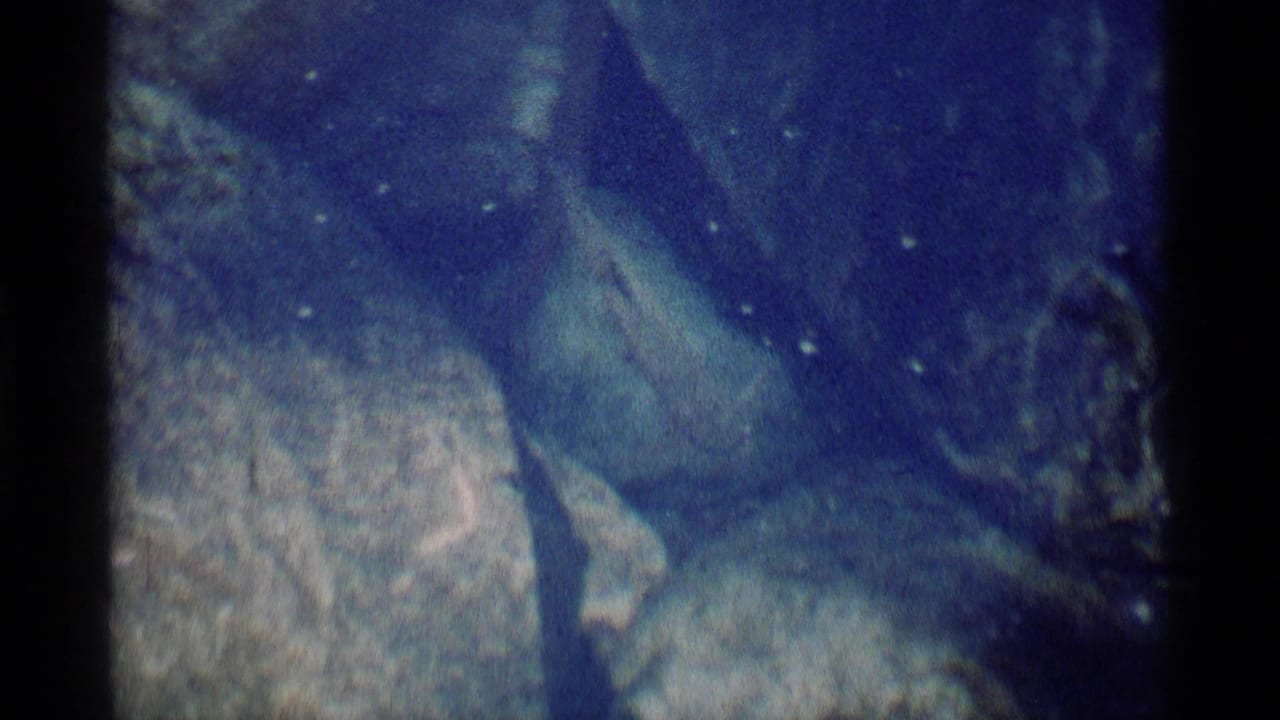 1975 8mm underwater view in Minaret Wilderness showing blue water, rocky terrain, and floating particles.