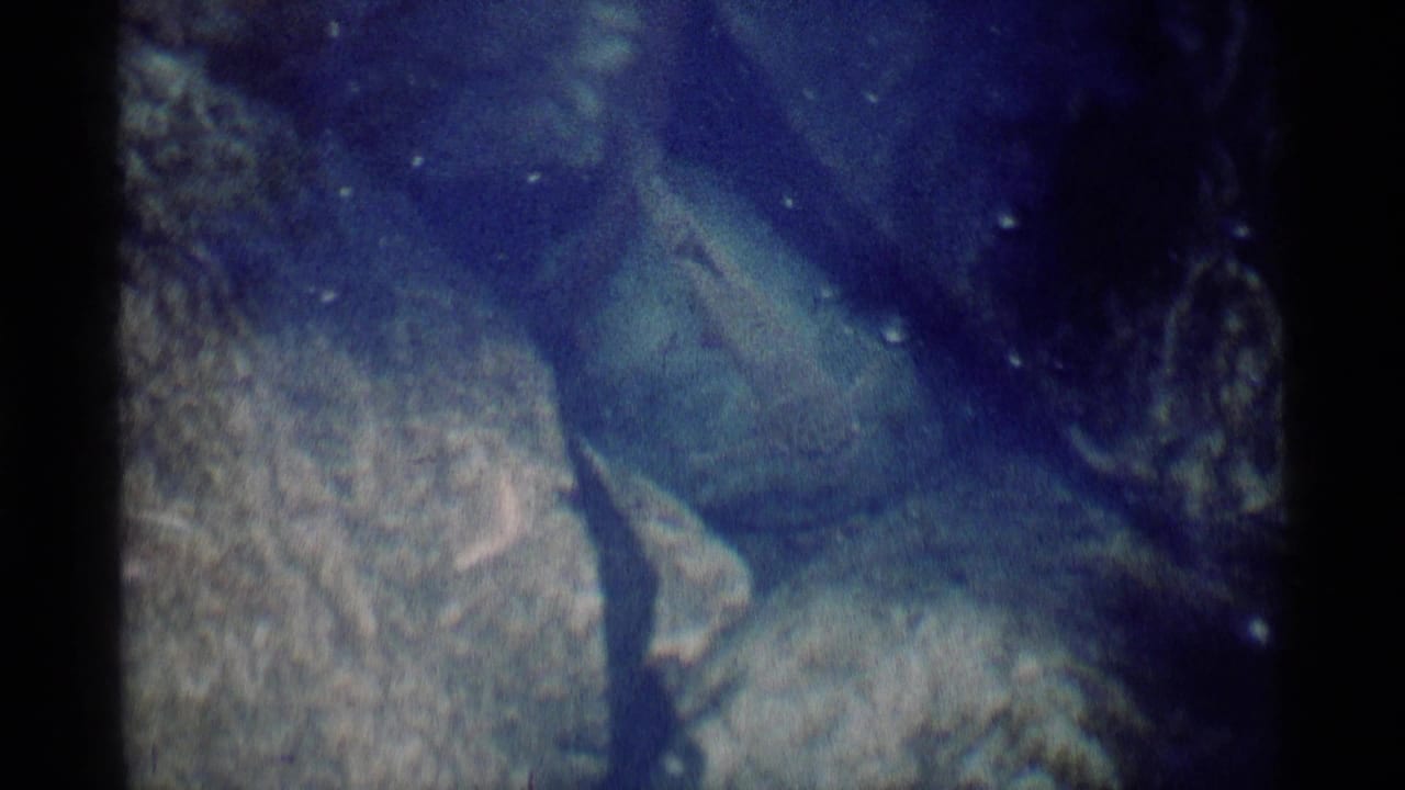 Rocky underwater terrain seen through blue, grainy water.