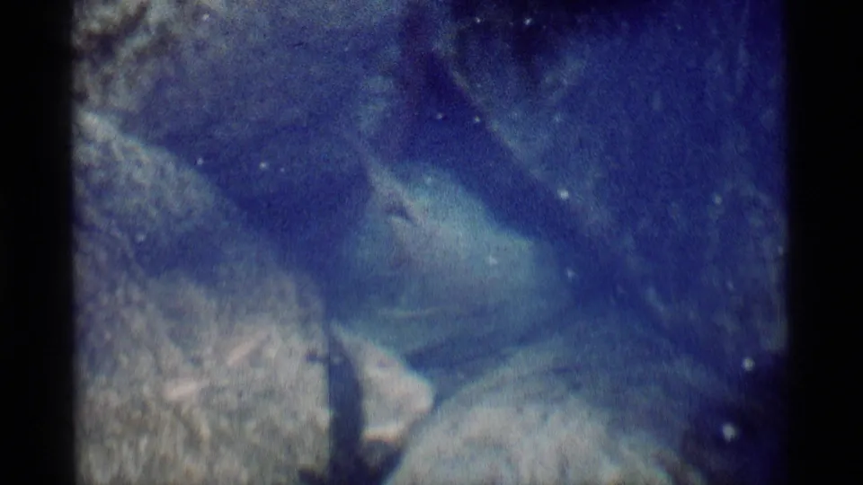 1975 home-movie snorkeling frame showing a submerged rock ledge and hazy blue water in California wilderness footage.