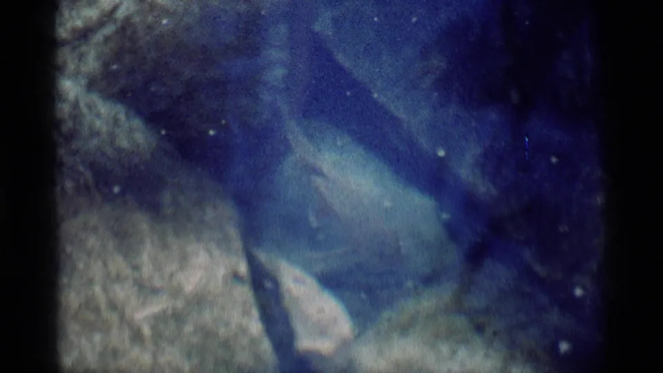 Underwater 8mm frame from Minaret Wilderness with blue water, textured rocks, and small suspended particles.