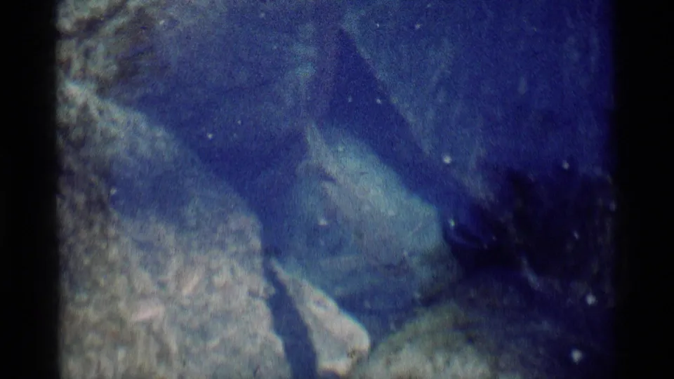 Blue-tinted 1975 8mm frame from Minaret Wilderness showing shallow water with rocks or sandy ground beneath the surface.