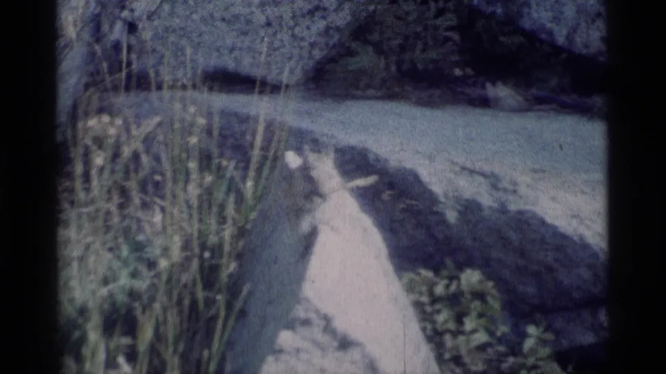 1975 8mm frame showing a chipmunk beside a pale boulder in Minaret Wilderness, with grass stems and shaded ground nearby.