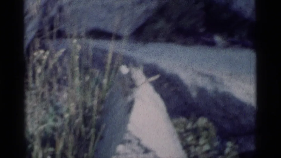 Soft 1975 Minaret Wilderness 8mm frame with a chipmunk near a bright rock, tall grass, and dark shaded ground.