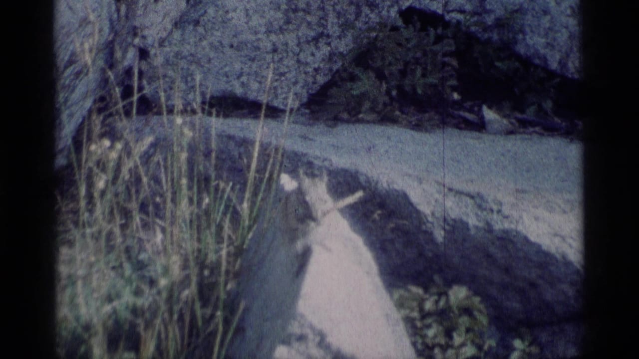 A chipmunk sits on a sunlit rock among dry grass and boulders in 1975 Minaret Wilderness home-movie footage.