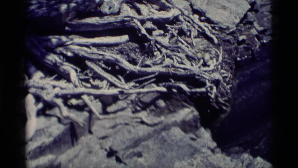 1975 8mm Minaret Wilderness frame showing weathered roots tangled across layered rocks and dry ground.