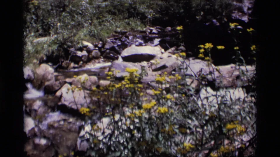 8mm home-movie frame from Minaret Wilderness showing water, rocks, vegetation, and yellow wildflowers in sunlight.