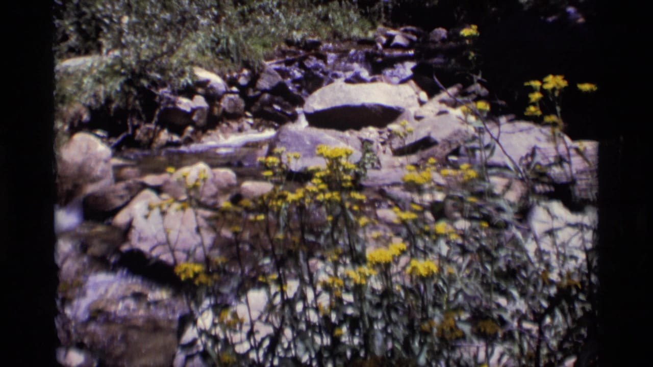 1975 8mm Minaret Wilderness frame showing yellow wildflowers near shallow water running over smooth rocks.