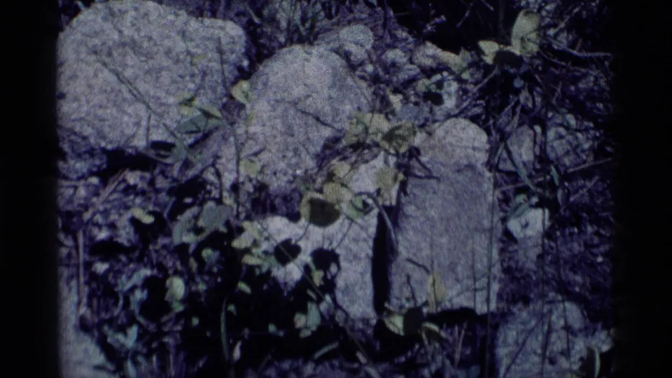 Handheld 8mm close-up of low greenery and pale rocks in Minaret Wilderness terrain, with dark shadows across the frame.