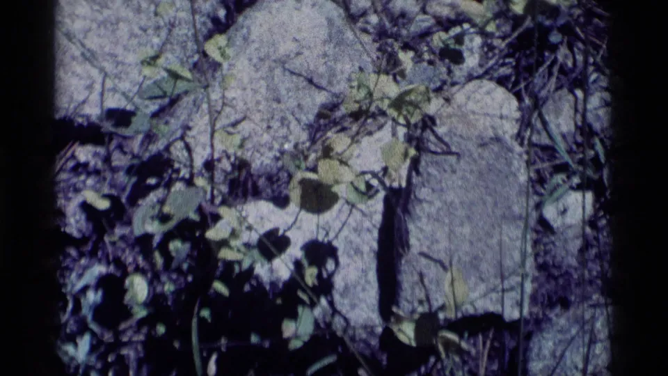 Vintage 8mm frame showing small plants and pale stones on rocky Minaret Wilderness ground in 1975.