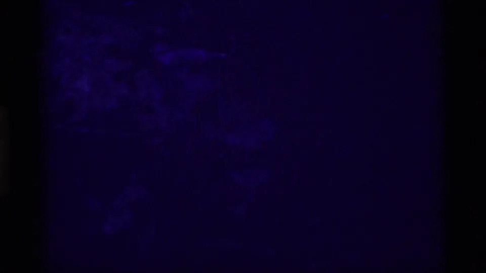 Underexposed or transitional 8mm frame with mostly dark blue-purple texture and limited visible subject detail.