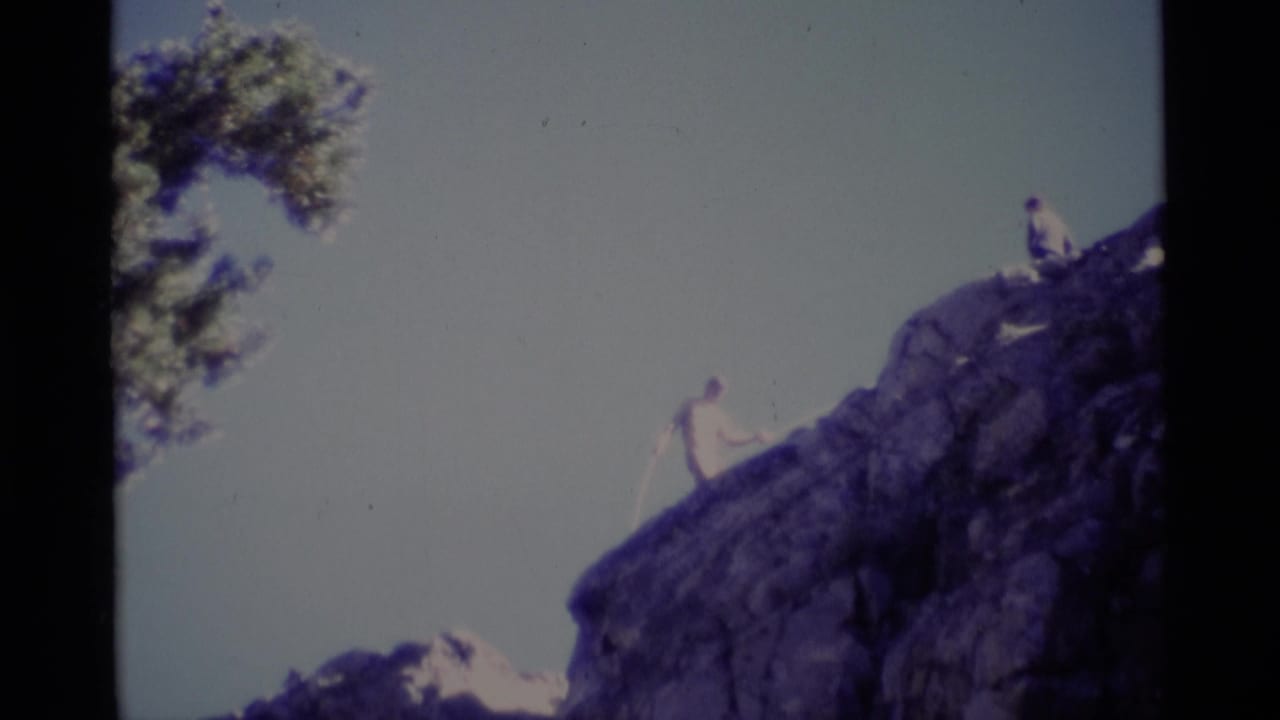 Two climbers on a rocky cliff face with rope, tree branches, and pale sky.