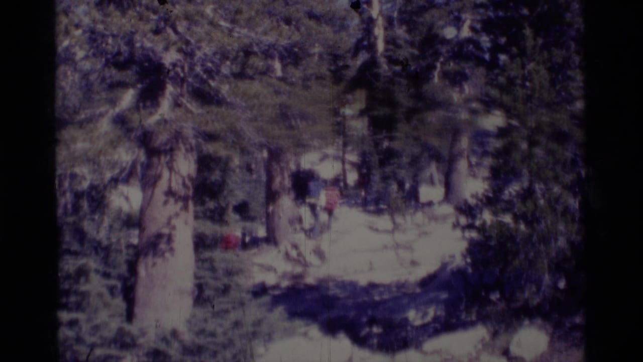 1975 Minaret Wilderness frame showing a shaded conifer trail with distant hikers or figures among trees and rocks.