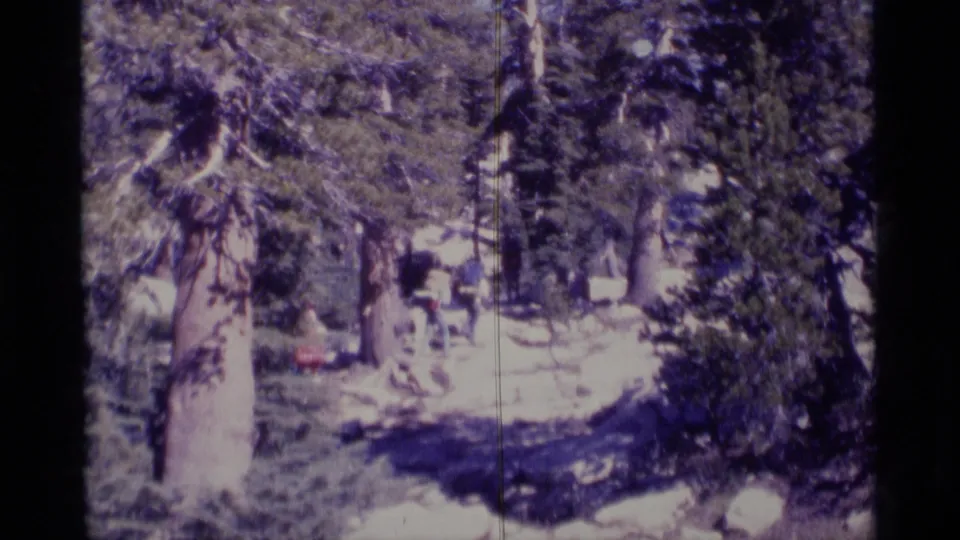 1975 Minaret Wilderness home-movie frame of a pine-lined trail, with distant hikers partly obscured by trees and film softness.