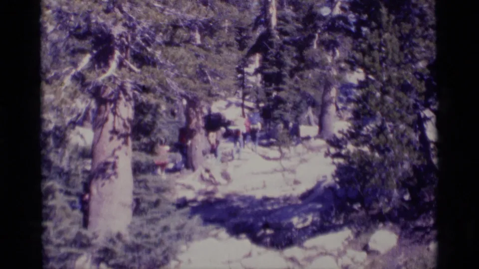 1975 Minaret Wilderness frame showing hikers farther down a wooded path, surrounded by conifers, stones, and mottled sunlight.