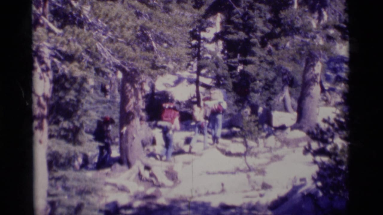 1975 California wilderness frame with hikers near boulders and pine trees, seen in soft 8mm focus.