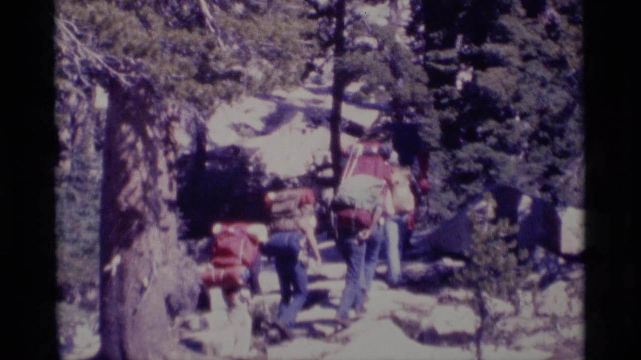Backpackers climb a snowy wooded trail among tall trees.