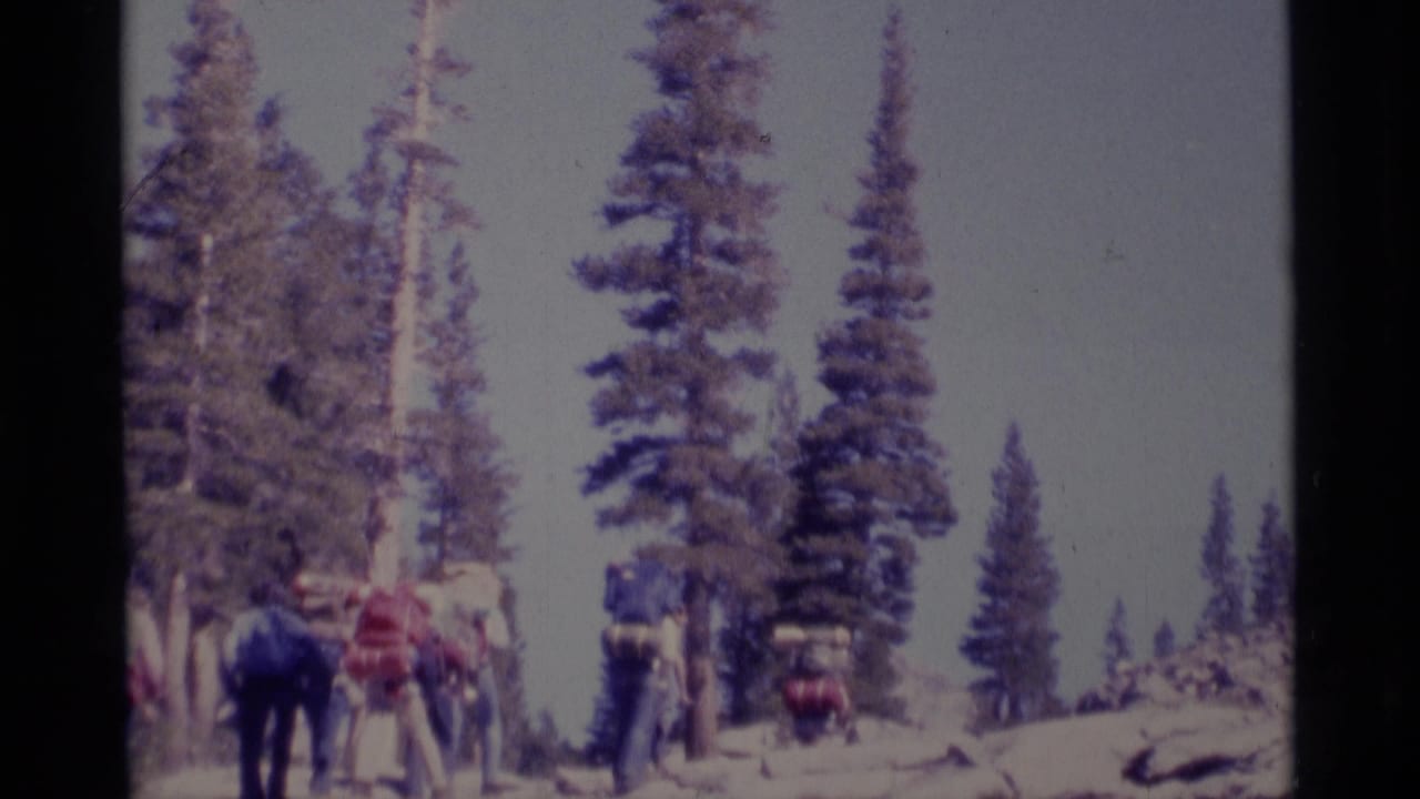 Hikers with backpacks walk through snow among tall evergreen trees.