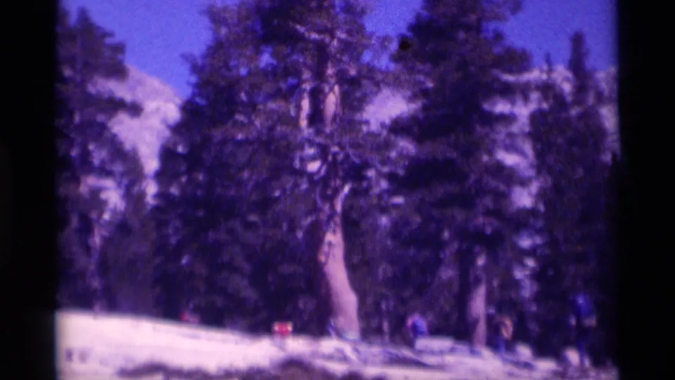 Distant hikers traverse snow beneath conifers and mountain slopes in 1975 Minaret Wilderness home-movie footage.