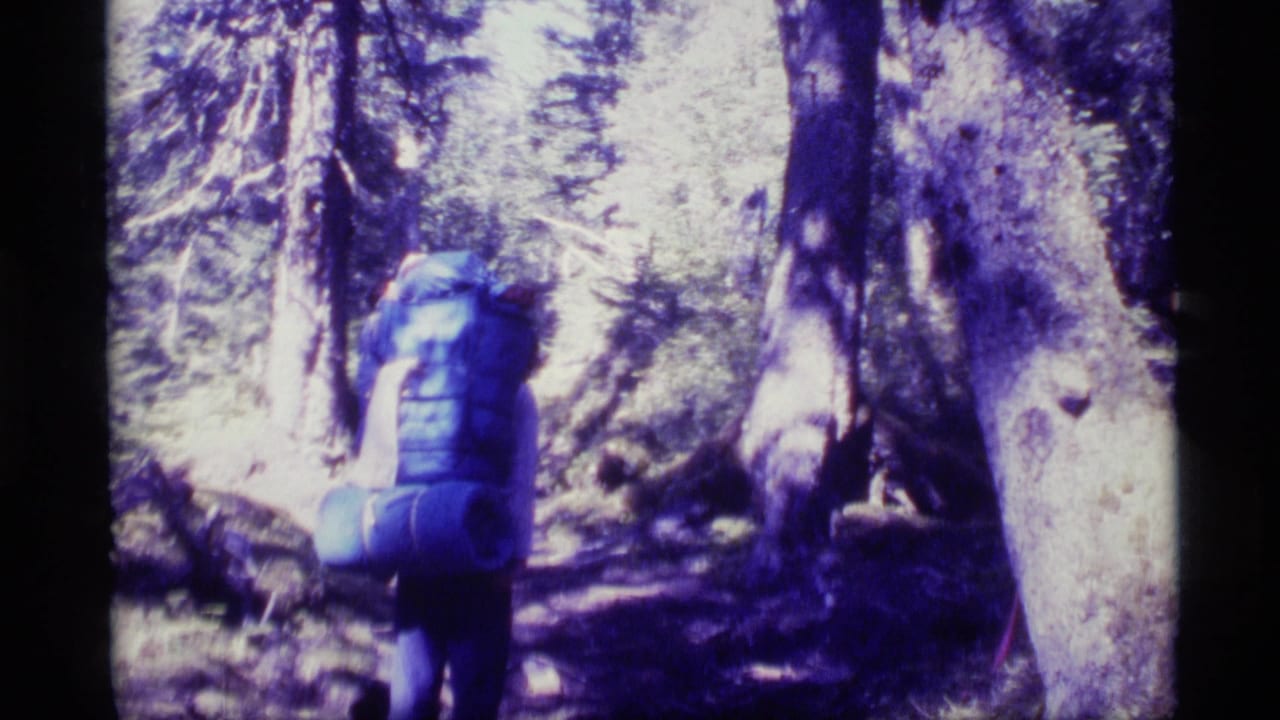 Backpacked hiker walking along a shaded forest trail.