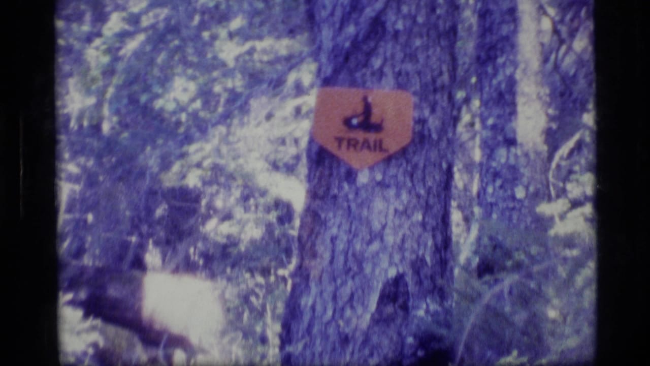 Trail sign attached to a tree in a dense forest.