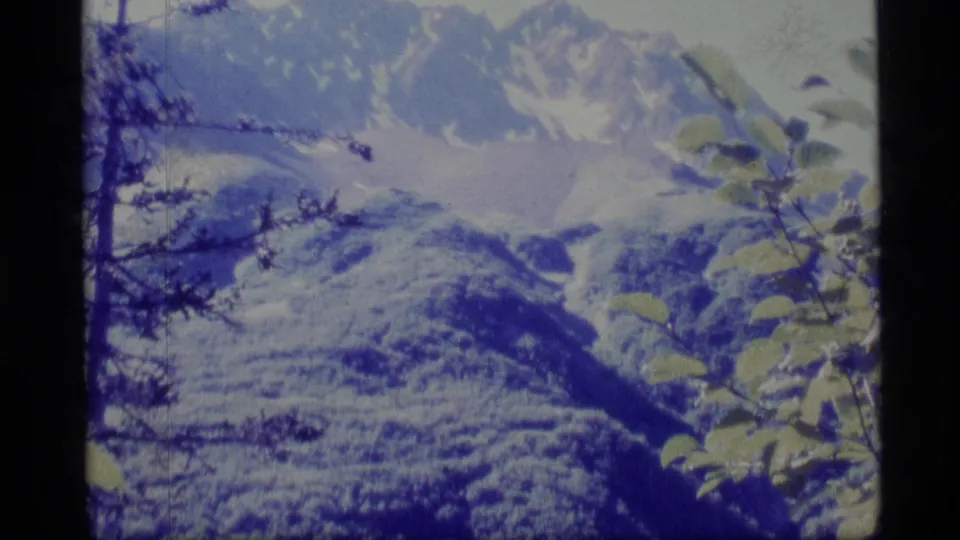 1977 Alaska 8mm landscape frame with snow-capped mountains partially framed by nearby branches and leaves.