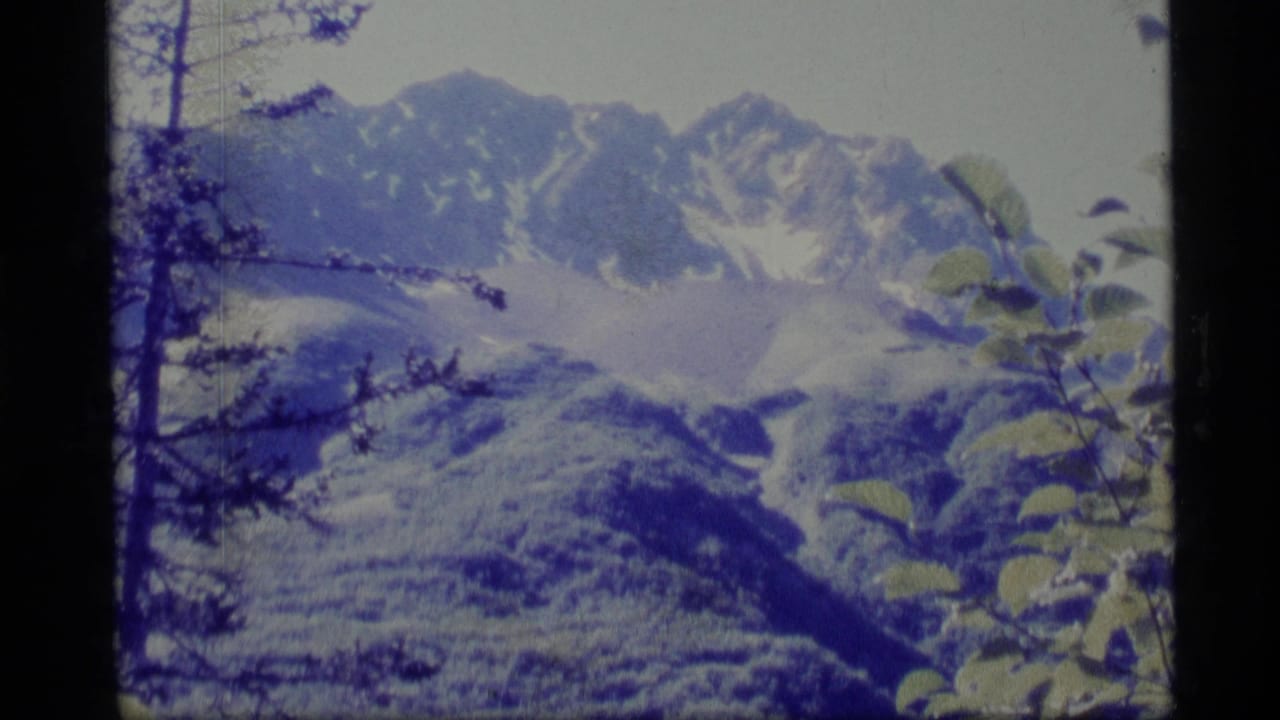1977 Alaska 8mm frame showing distant snow-streaked mountains through trees and foreground leaves.