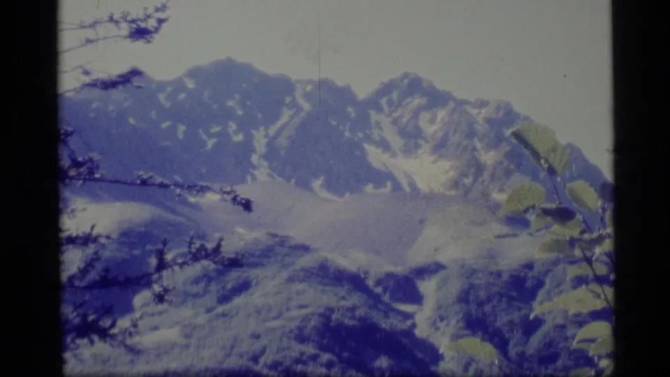 1977 Alaska 8mm view of a snow-patched mountain ridge partly framed by dark branches and leaves.