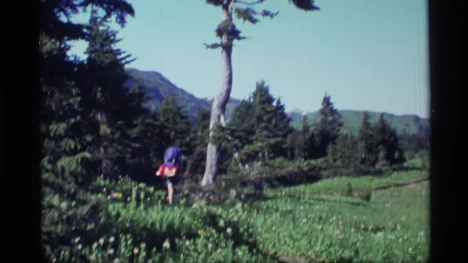 1977 Alaska home-movie frame with a backpacked hiker crossing a green meadow near evergreens and distant mountains.