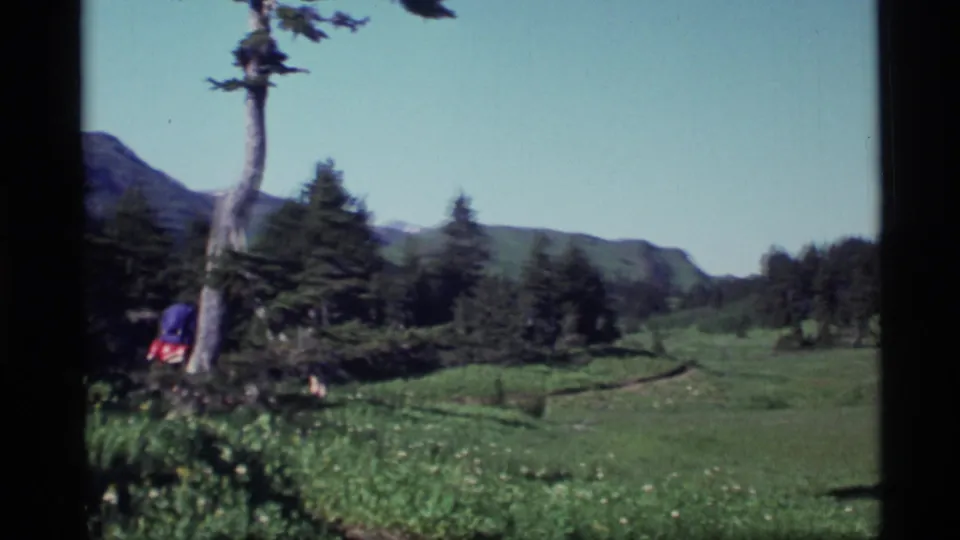 Wide 1977 Alaska 8mm view of a meadow, a small backpacked hiker, evergreen trees, and distant mountain ridges.