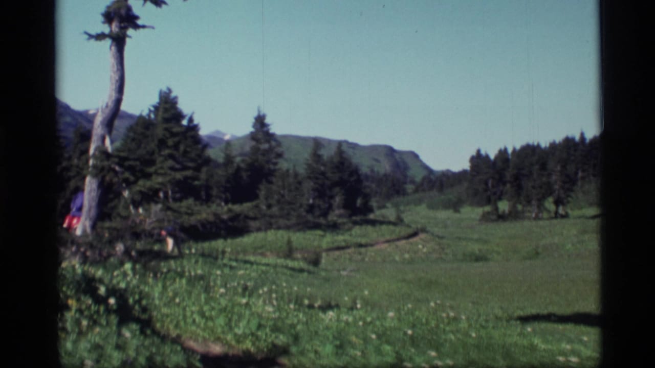 1977 Alaska home-movie frame showing an alpine meadow path, evergreen trees, a weathered trunk, and distant ridges under clear sky.