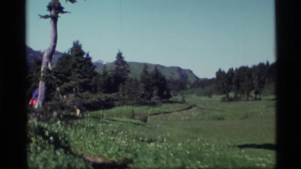 1977 Alaska home-movie frame showing an alpine meadow path, evergreen trees, a weathered trunk, and distant ridges under clear sky.