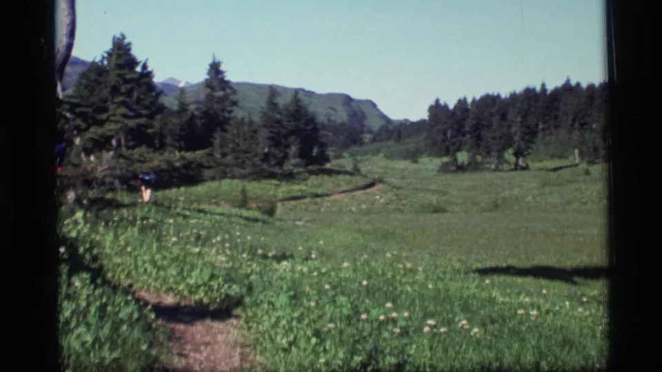 1977 Alaska wilderness frame with a dirt path through a green meadow, evergreen stands, and distant mountain slopes.