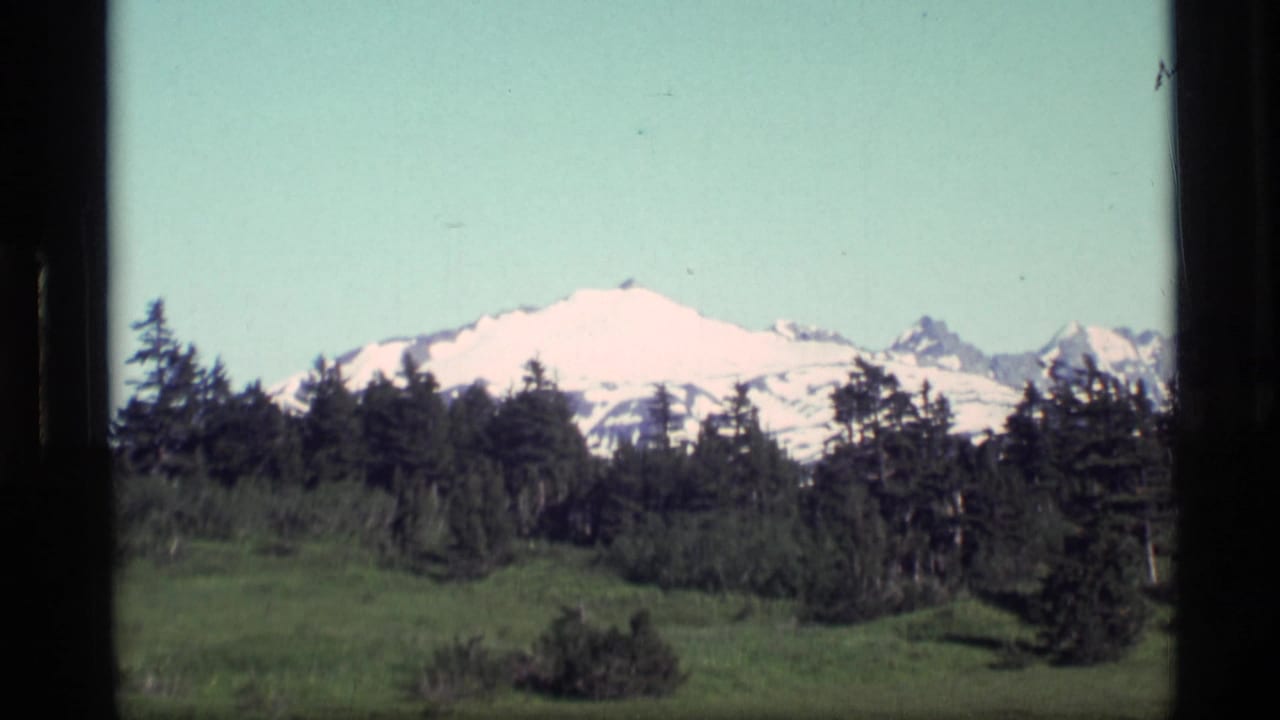 1977 Alaska 8mm frame showing distant snow-capped mountains, dark evergreen trees, green vegetation, and a pale sky.