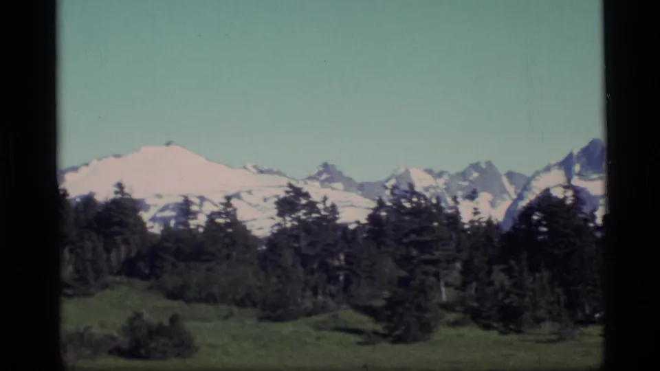 1977 Alaska 8mm view of snow-lined mountain peaks behind dense evergreen trees under a pale blue sky.