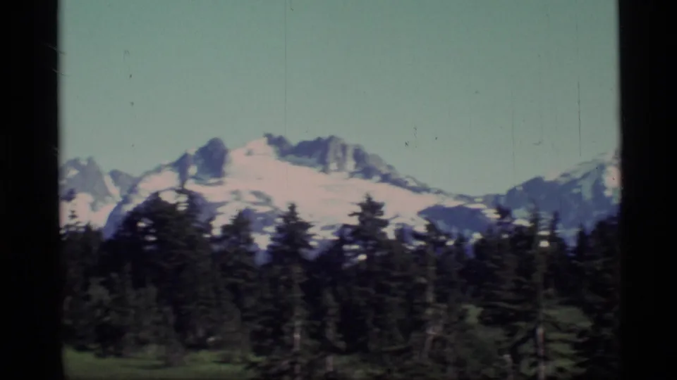 1977 Alaska 8mm frame showing a broad snowy mountain slope and sharp peaks beyond a dark evergreen forest.