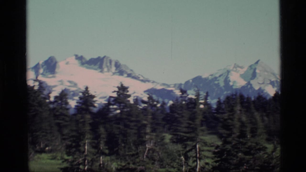 Snowy mountain range above dark evergreen forest under a pale sky.