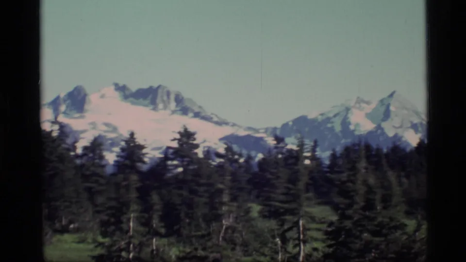 1977 Alaska 8mm frame showing snow-covered mountains rising beyond evergreen forest and a clear pale sky.
