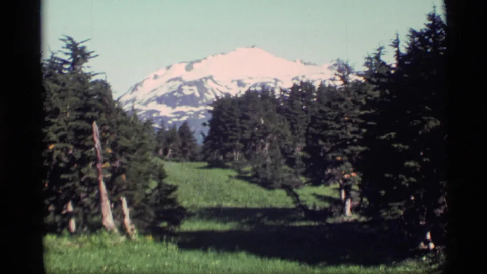 1977 Alaska 8mm frame showing a meadow opening through evergreens toward a broad snow-covered mountain.