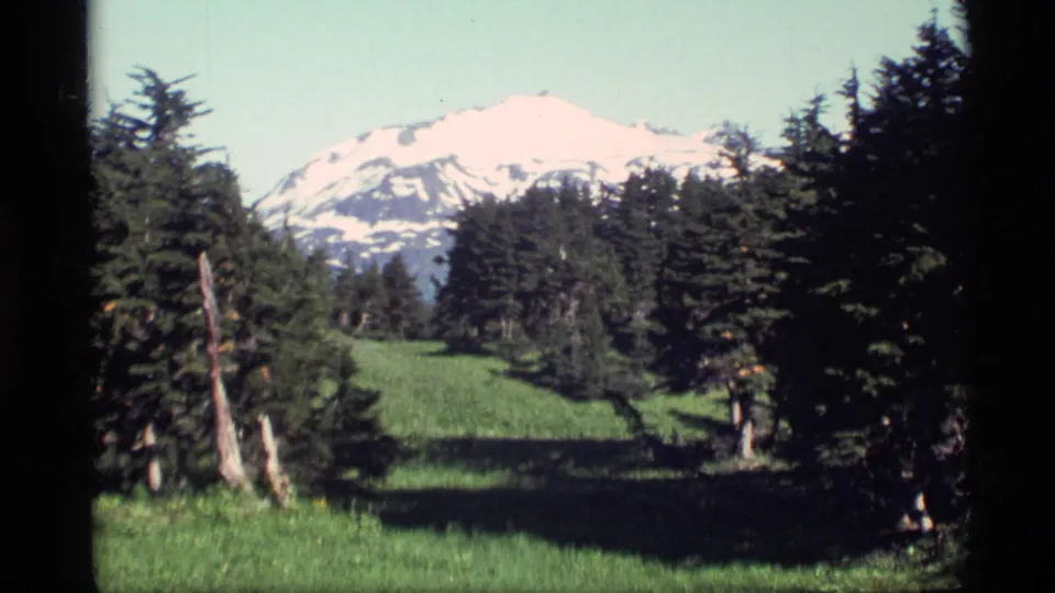 1977 Alaska home-movie frame with meadow grass, dark evergreens, and a bright snowy mountain in the distance.